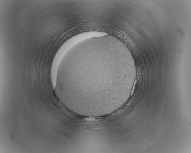 X0000115160425200912081412