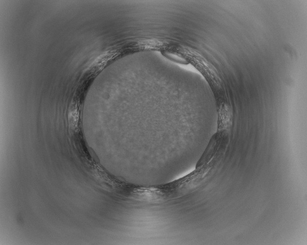 X0000115160427200912081412