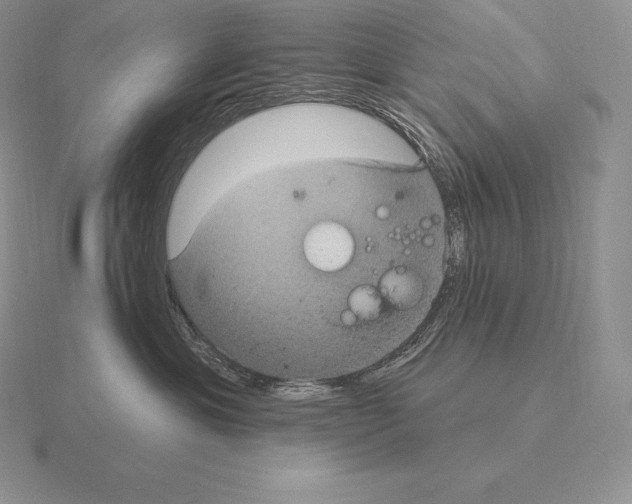 X0000115160429200912081412