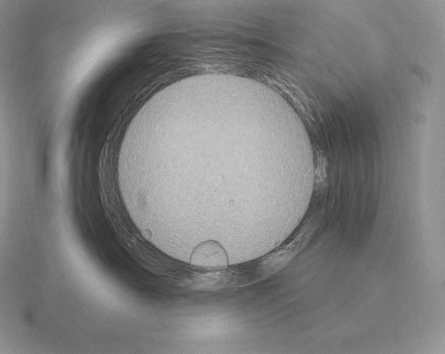 X0000115160430200912081412