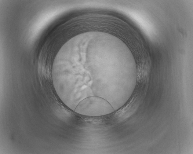 X0000115160431200912081412