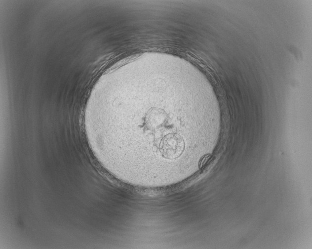 X0000115160432200912081412