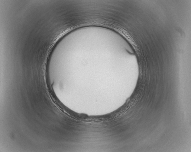 X0000115160434200912081411