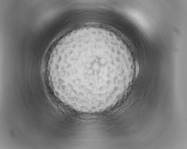 X0000115160435200912081411