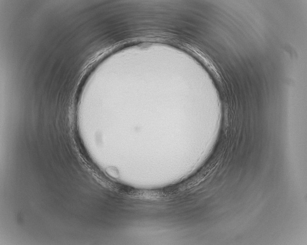 X0000115160437200912081411