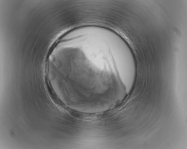 X0000115160438200912081411