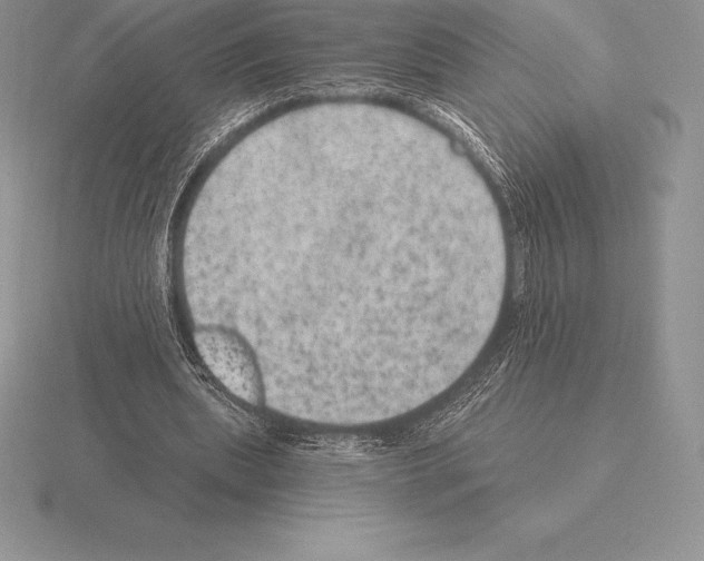 X0000115160439200912081411