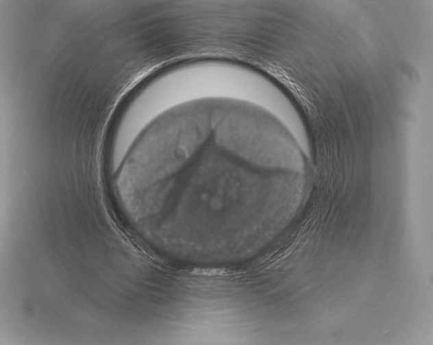 X0000115160440200912081411