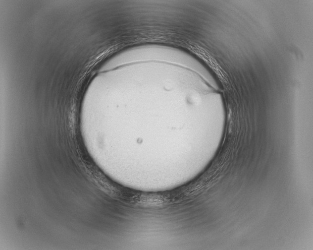 X0000115160442200912081411