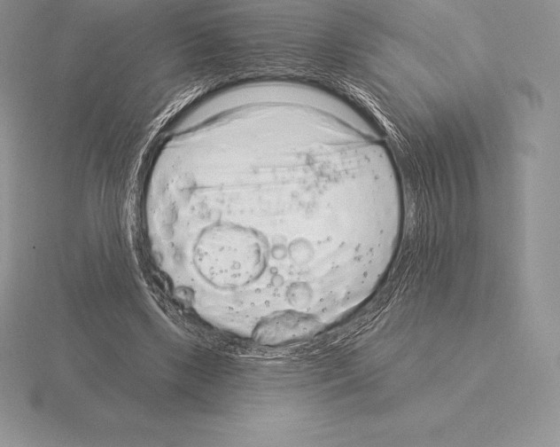 X0000115160443200912081411