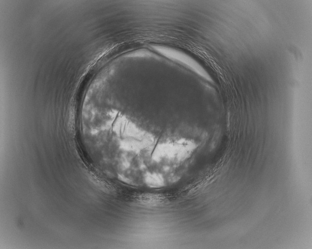 X0000115160444200912081411