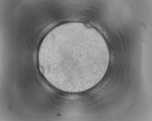 X0000115160445200912081411