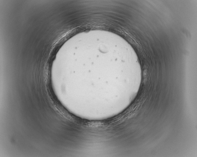 X0000115160446200912081411