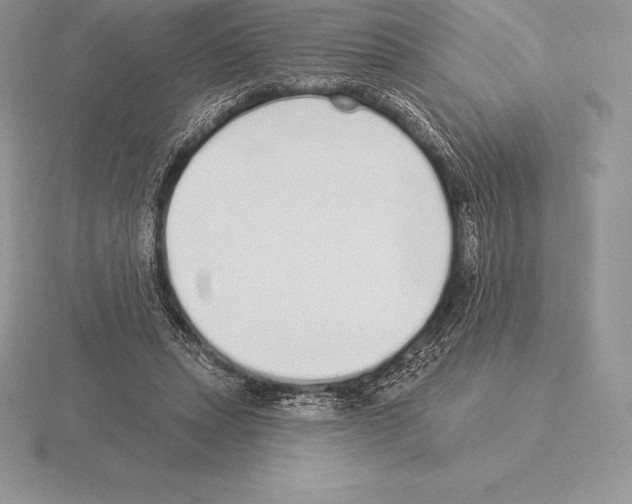 X0000115160447200912081411