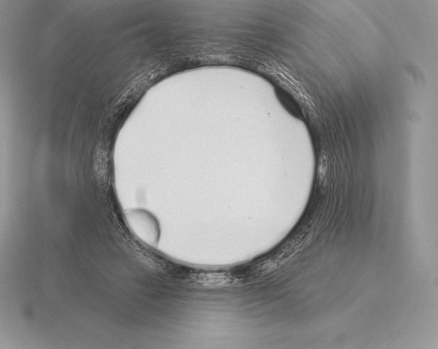 X0000115160449200912081411