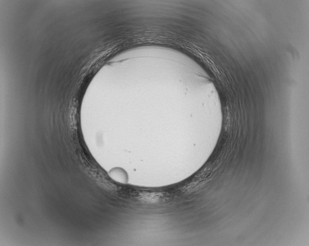 X0000115160450200912081411