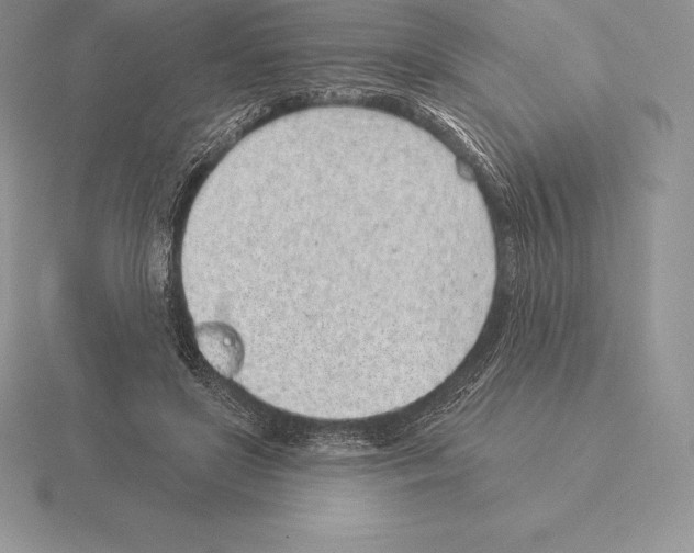 X0000115160451200912081412