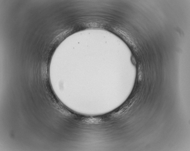 X0000115160453200912081412