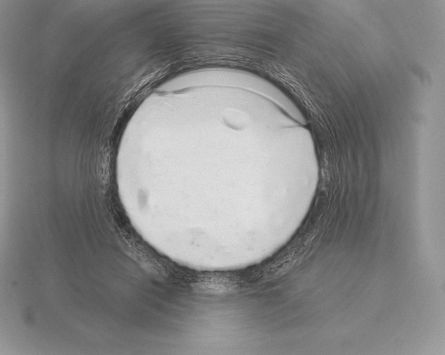 X0000115160454200912081412