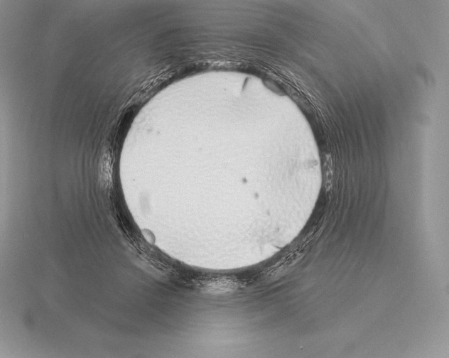 X0000115160456200912081412