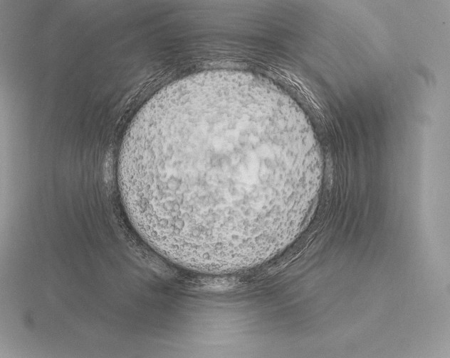 X0000115160457200912081412