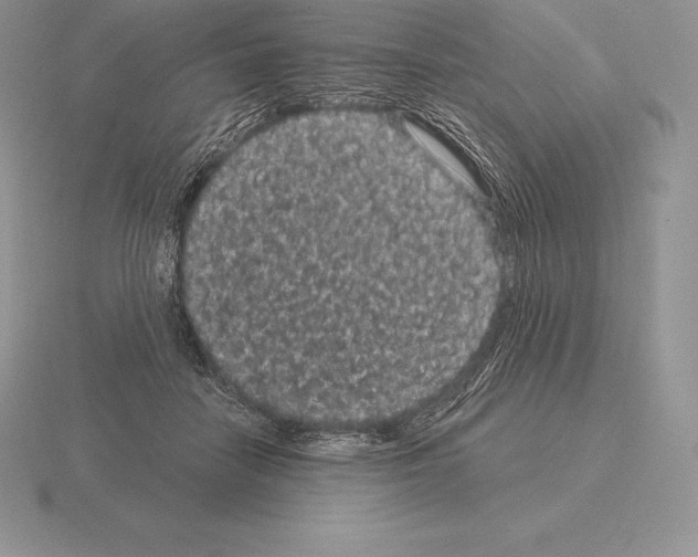 X0000115160458200912081412