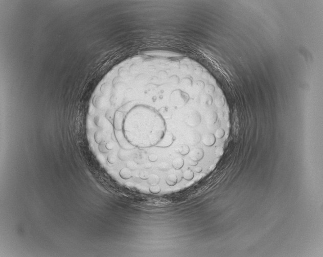 X0000115160459200912081412