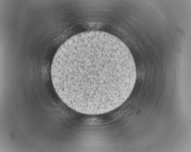 X0000115160460200912081412