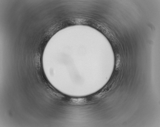 X0000115160461200912081412