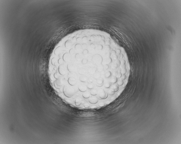 X0000115160462200912081412