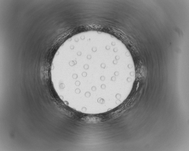 X0000115160464200912081412