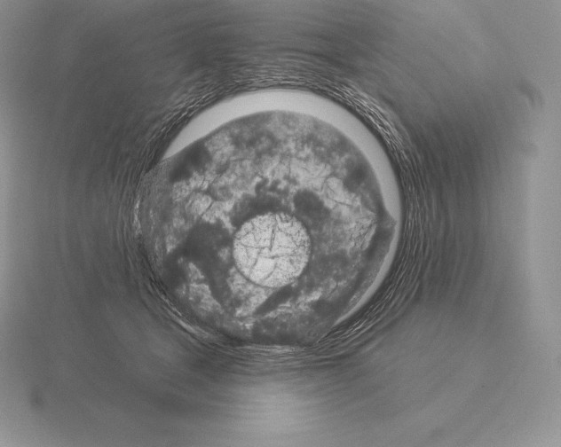 X0000115160465200912081412