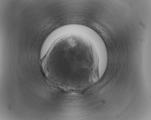 X0000115160467200912081412