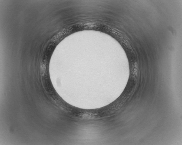 X0000115160468200912081412