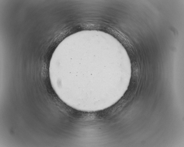 X0000115160469200912081412