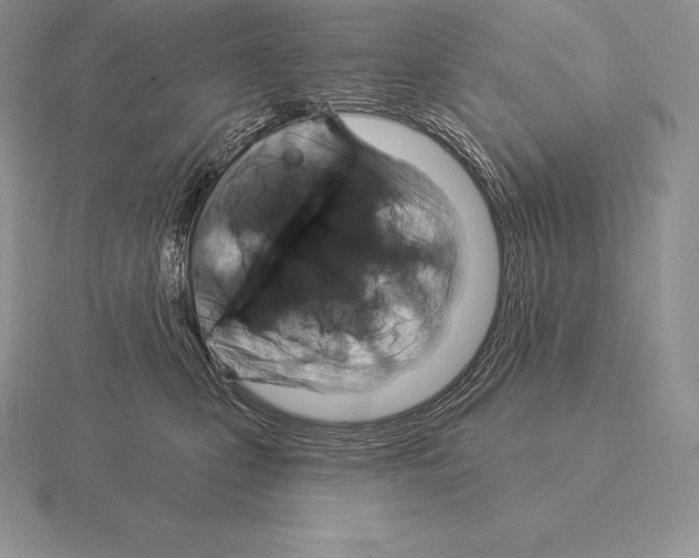 X0000115160471200912081412