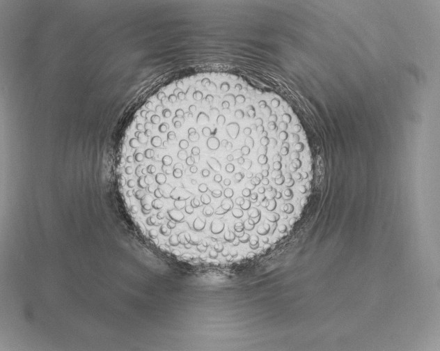 X0000115160474200912081412