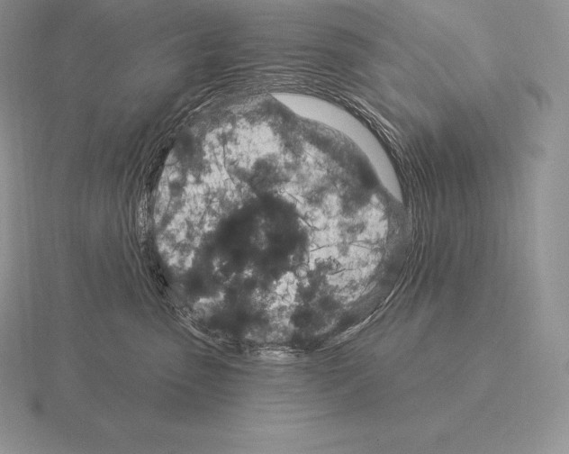 X0000115160475200912081412