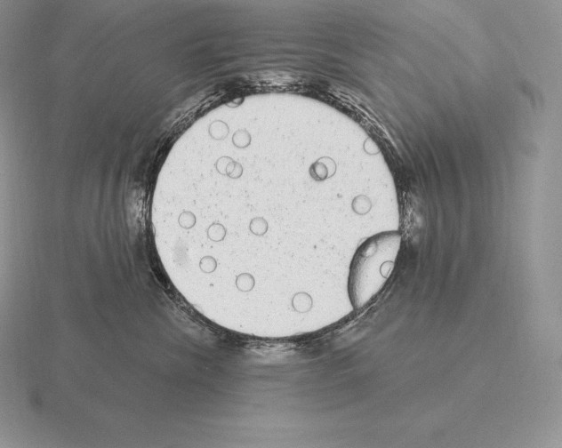 X0000115160476200912081412