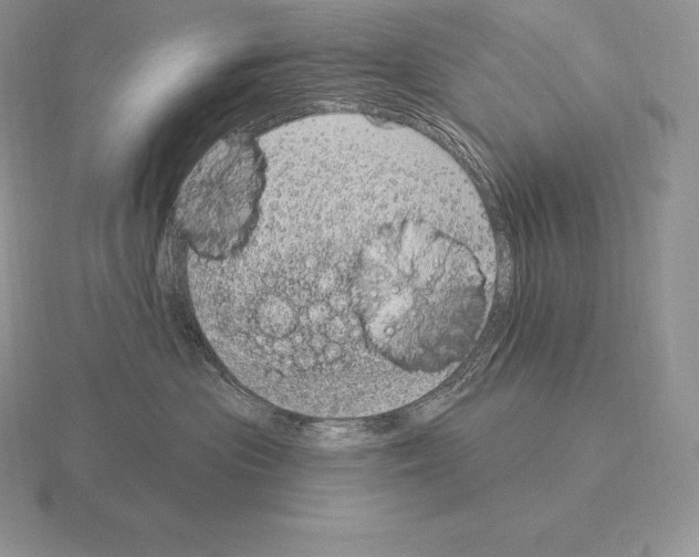 X0000115160477200912081412