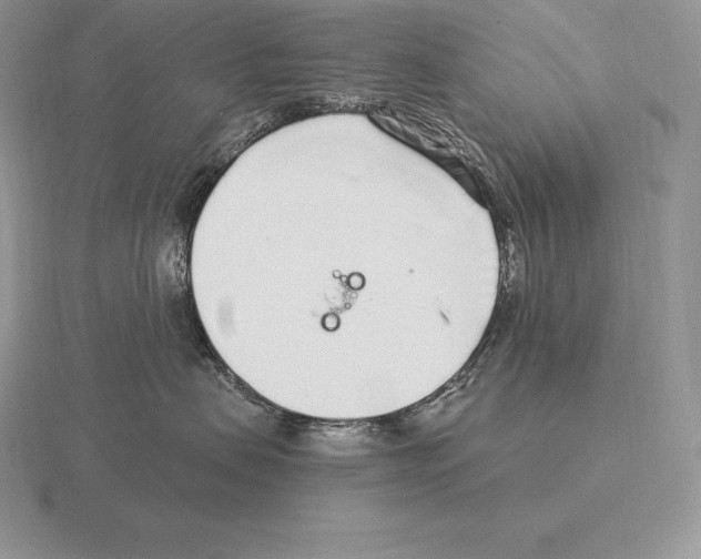 X0000115160479200912081412