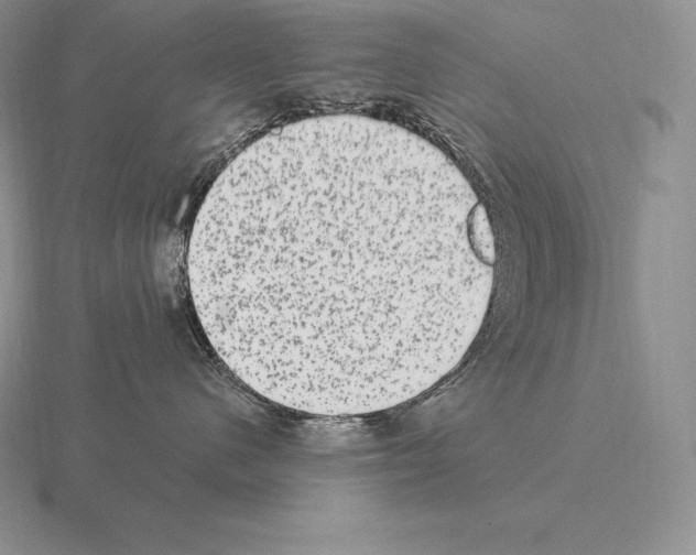 X0000115160480200912081412