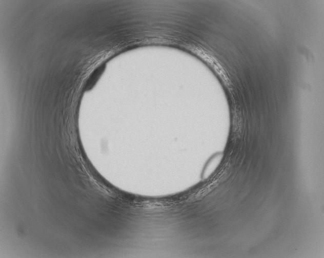 X0000115160481200912081411