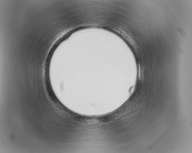 X0000115160483200912081411