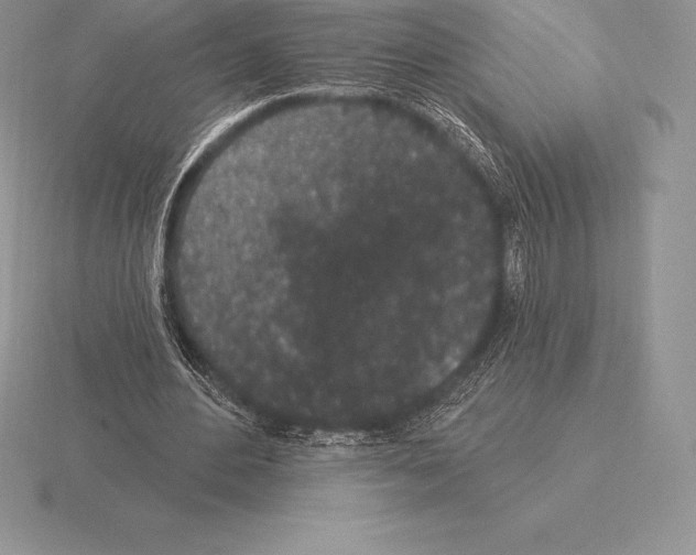 X0000115160484200912081411