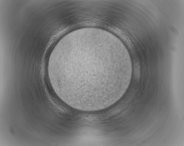 X0000115160486200912081411