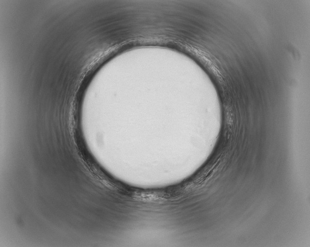 X0000115160487200912081411