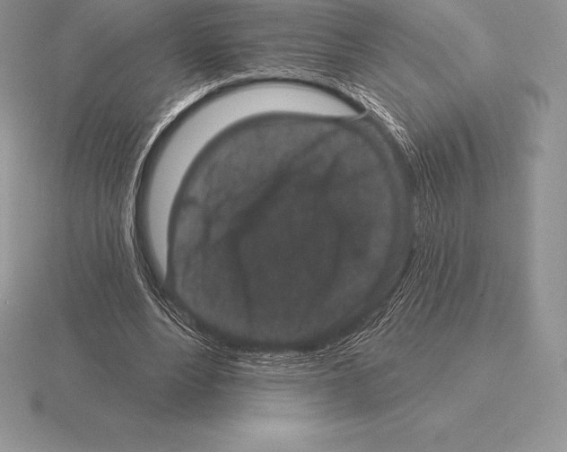 X0000115160488200912081411