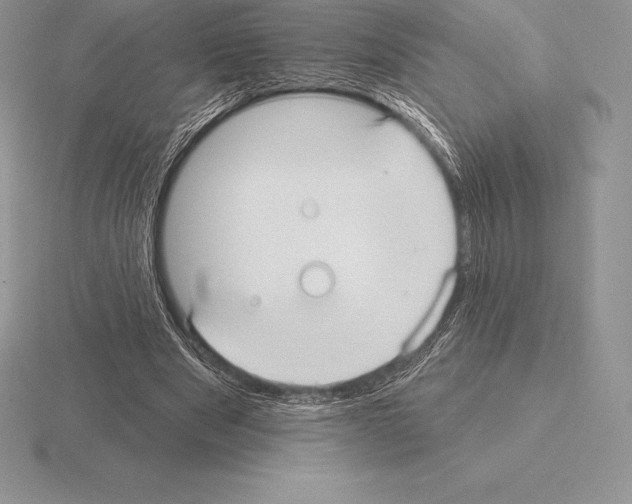 X0000115160489200912081411