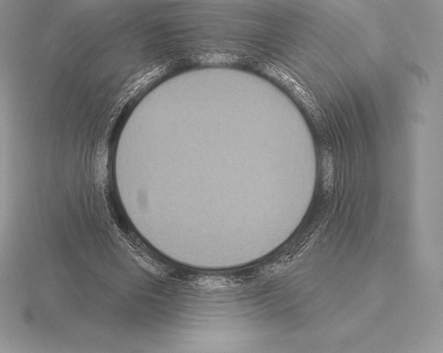 X0000115160490200912081411